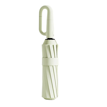 Automatic Folding Umbrella